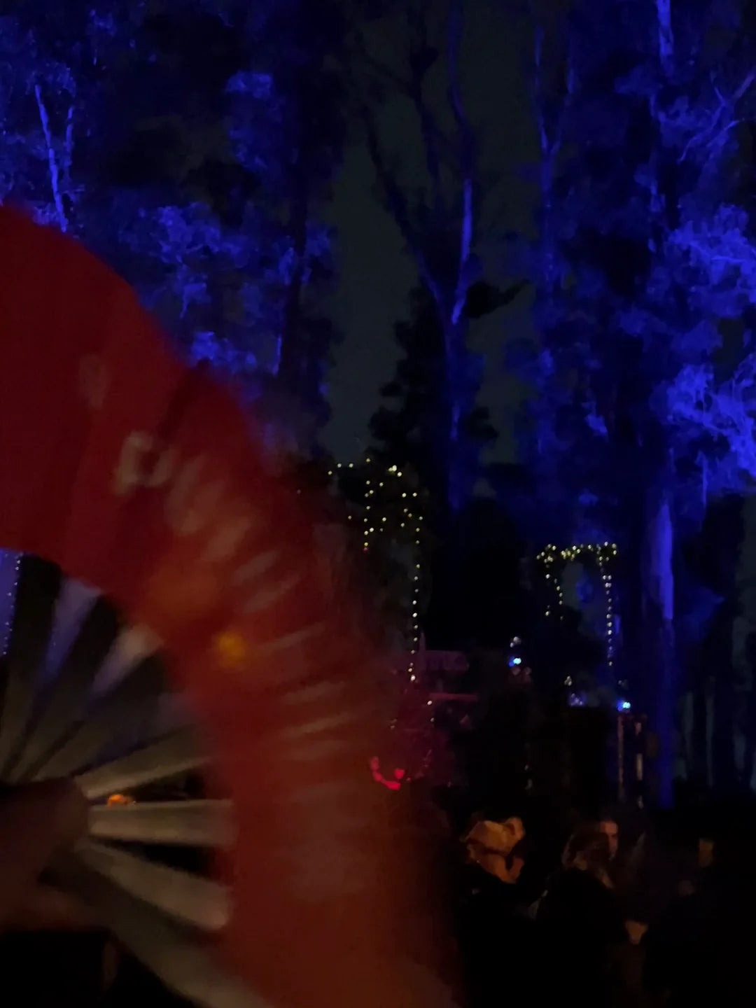 Electronic music crowd at a Sobrados event